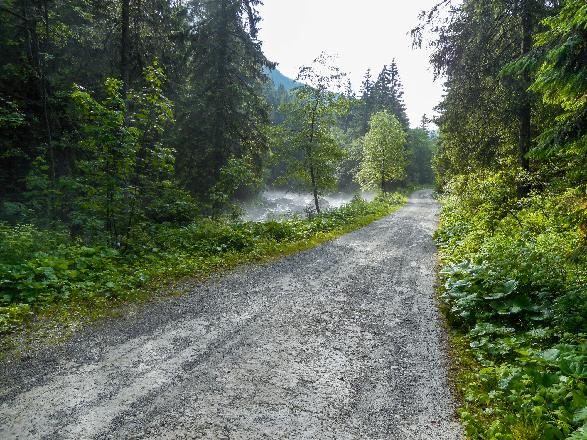 Cesta z Tatranskej Javoriny, ranný opar nad potokom Javorinka