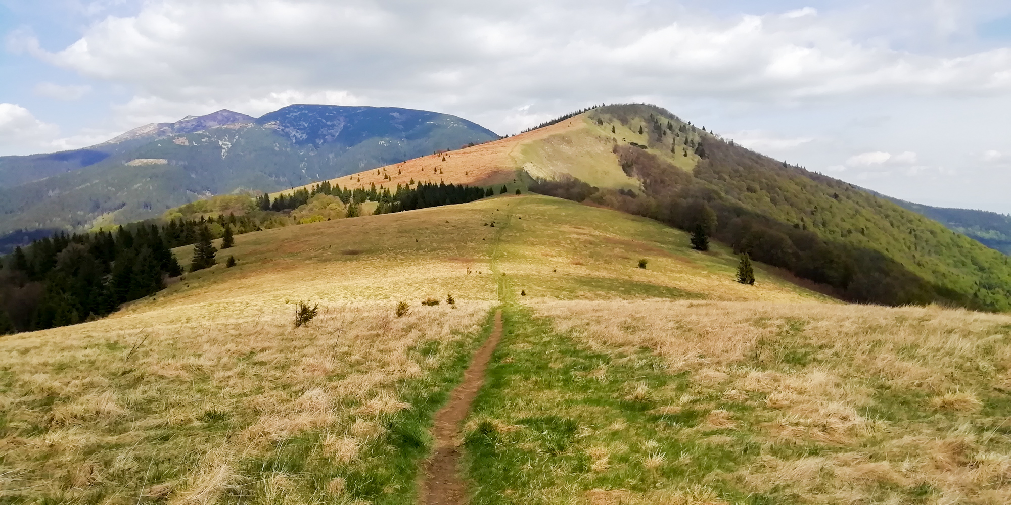 Pohľad na Kozí chrbát, vľavo vrch Veľká a Malá Chohuľa a Prašivá.