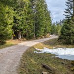 Foto 2: Lesná cesta vedúca k via ferrate so zvyškami snehu