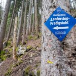Foto 3: Modrá smerová tabuľa "Klettersteig Leadership-Predigtstuhl" - tieto tabule treba sledovať, lebo orientácia v lese nie je najlepšia