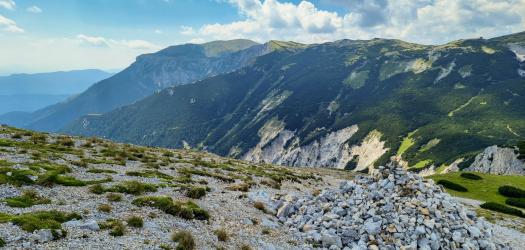 Heukuppe 2022, Rakúsko