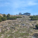 Foto 11: Pohľad na vrchol Schafbergu s hotelom Schafbergspitze počas záverečného stúpania
