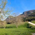 Foto 2: Poľná cesta lúkami nad dedinou St. Wolfgang