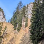 Foto 6: Skalnaté brala s lesným chodníkom v záverečnej časti stúpania na Sparber
