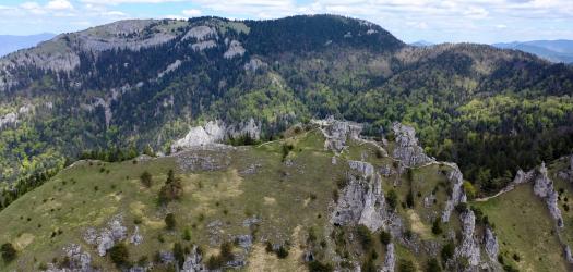 Tlstá, Ostrá, Slovensko