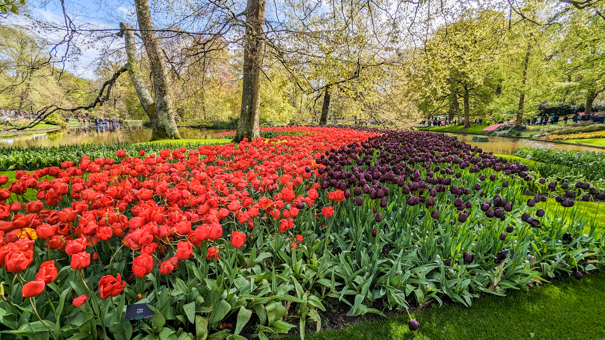 Záhrada bola založená v roku 1949 miestnymi pestovateľmi kvetov a exportérmi s cieľom prezentovať holandské kvetinárske produkty.