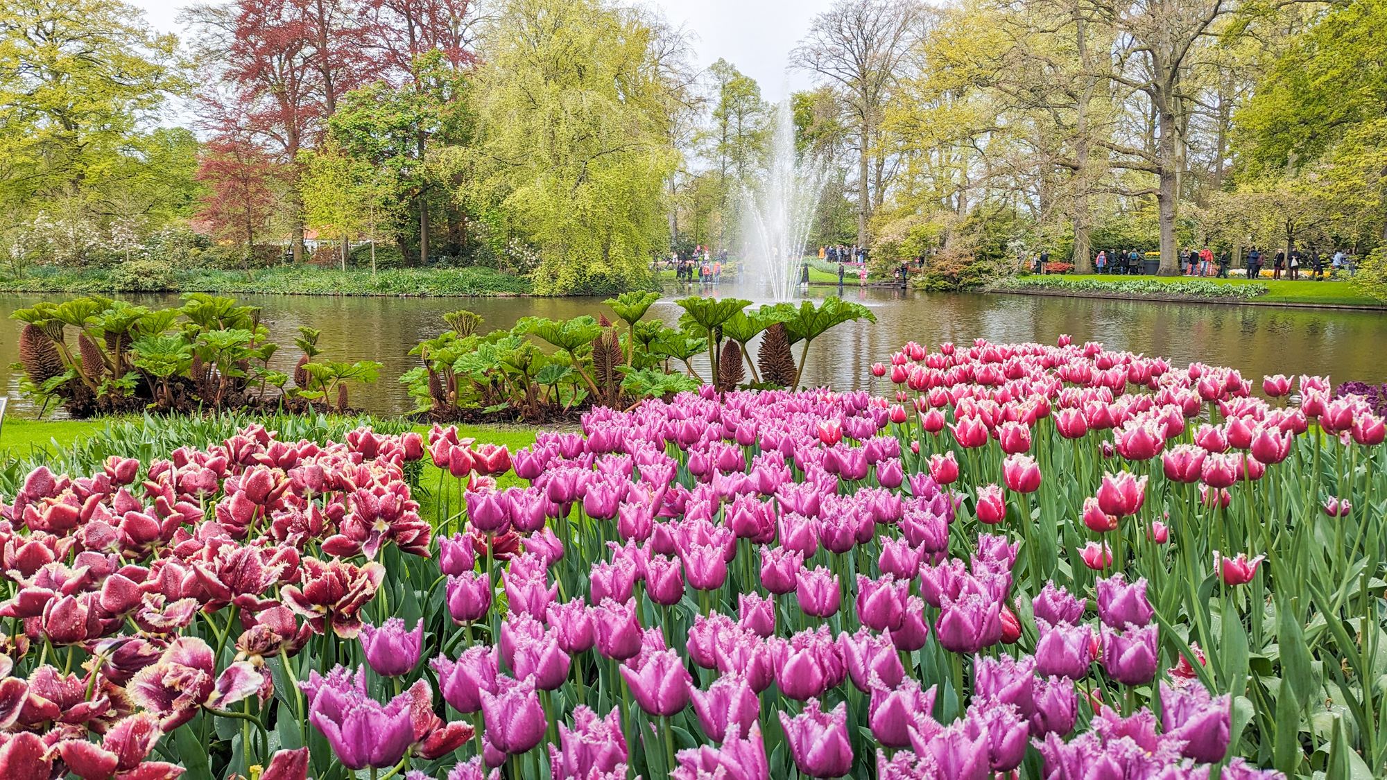 Keukenhof je rozdelený do niekoľkých tematických záhrad a pavilónov, ktoré predstavujú rôzne druhy kvetov a kvetinových aranžmánov.