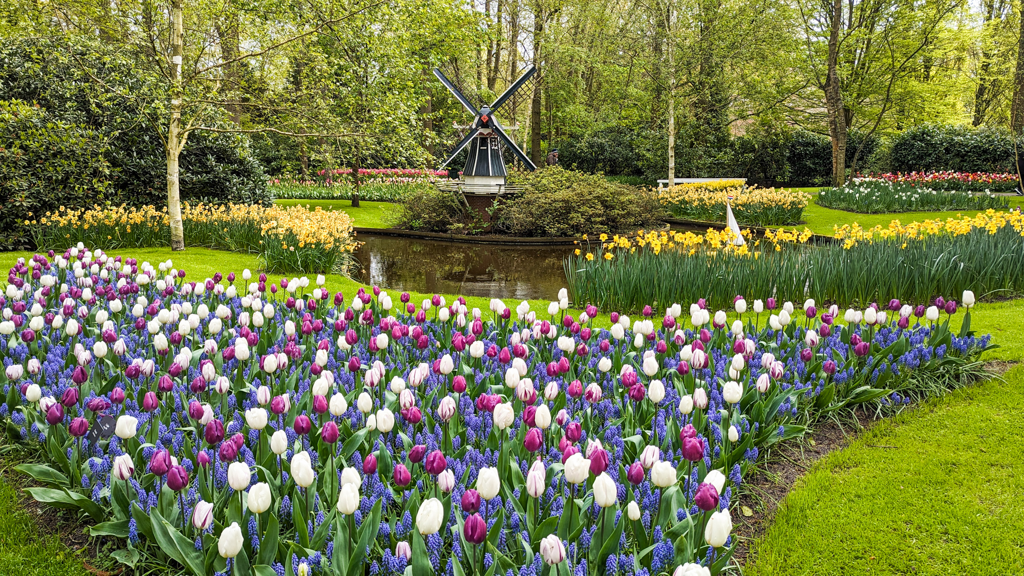Údajne je tu vysadených viac ako 800 rôznych odrôd tulipánov. 